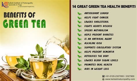 14 Great Green Tea Health Benefits