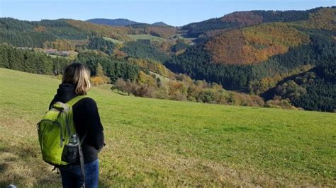 The Black Forest Trail (Germany) | Black Forest Tours