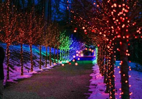 Berkshires: Naumkeag & Winter Lights | Springfield Museums