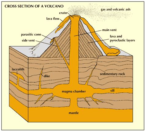 Diagram Of A Volcano For Kids | Kids Matttroy