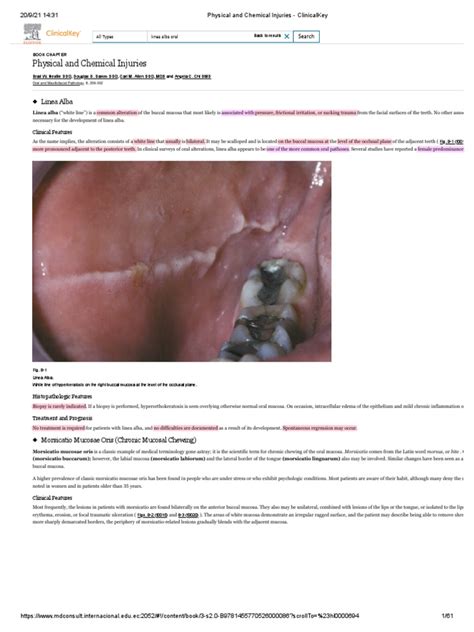 Linea Alba 1 | PDF | Health Sciences | Clinical Medicine