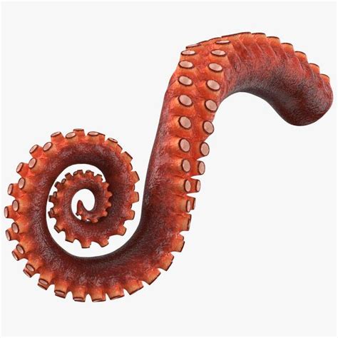 Octopus Tentacle Rigged 3D Model #AD ,#Tentacle#Octopus#Model#Rigged ...