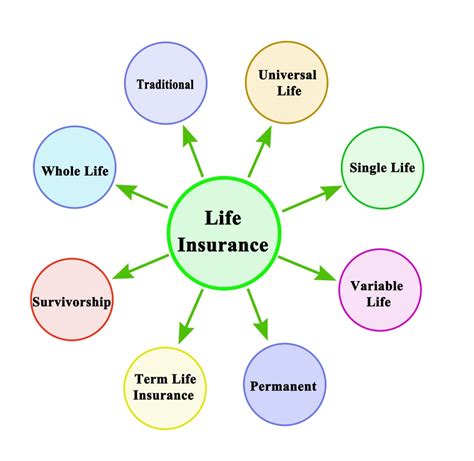 What Are the 3 Types of Life Insurance? - Kannonball Insurance Solutions