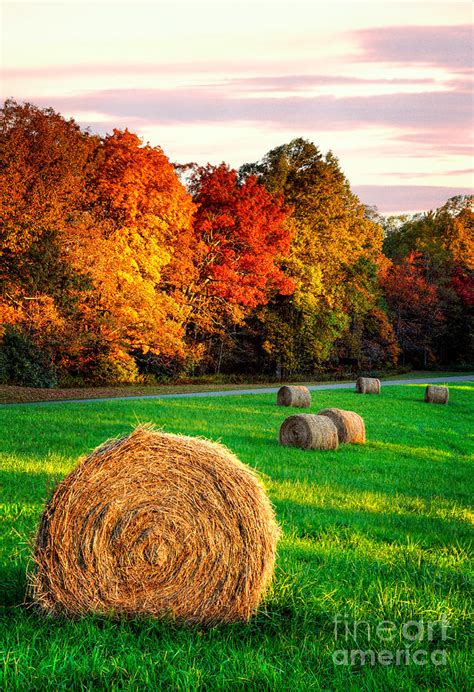 Blue Ridge - Fall Colors Autumn Colorful Trees and Hay Bales I ...