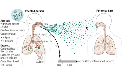 It’s Not Just SARS-CoV-2: Most Respiratory Viruses Spread by Aerosols