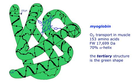 Protein chemistry