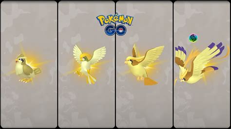 Pokemon Go: Evolving Shiny Pidgey into Pidgeotto & Pidgeot And Mega ...