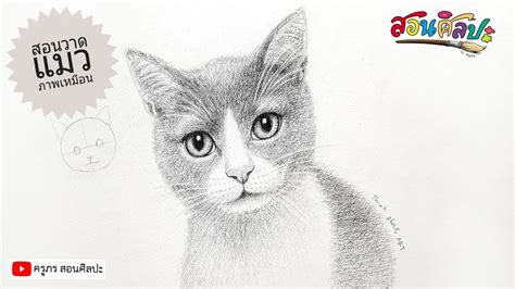 สอนวาดน้องแมว (ภาพเหมือน): How to Draw a cat /Step by Step Drawing ...