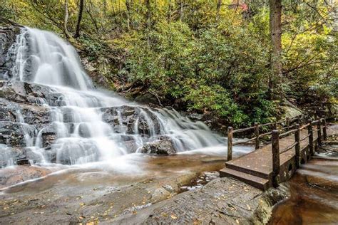 The Great Smoky Mountains National Park Hiking Challenge: 100 Miles in ...