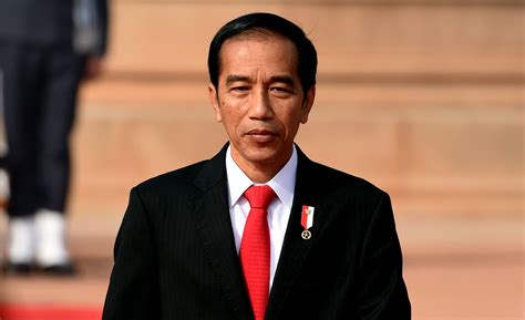 Kunjungan Luar Negeri, Jokowi Realisasikan Percepatan Investasi di ...