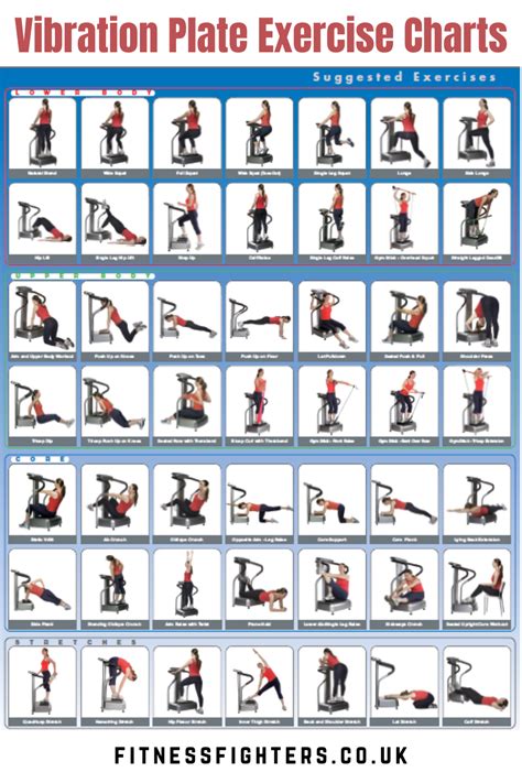 Vibration Plate Exercise Charts Gym Workout Chart, Daily Workout ...