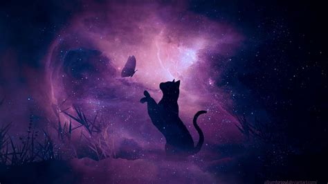 Top 72+ purple cat wallpaper best - in.coedo.com.vn