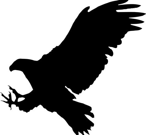 Eagle Shadow Png : Our database contains over 16 million of free png ...