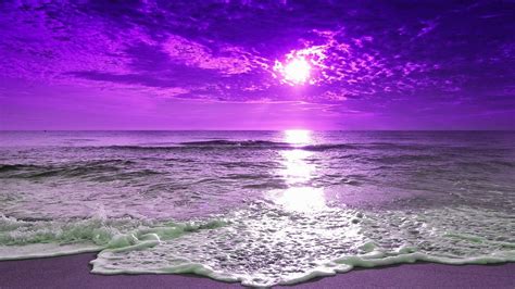 Purple Beach Wallpaper