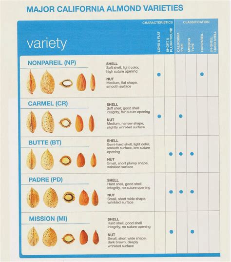 Almond varieties