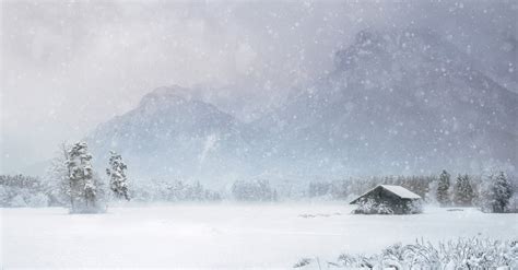 Photo of Snowy Field · Free Stock Photo