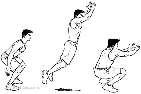 Standing Long Jumps | Long jump, Jump workout, Workout guide