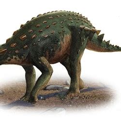 Minmi Pictures & Facts - The Dinosaur Database