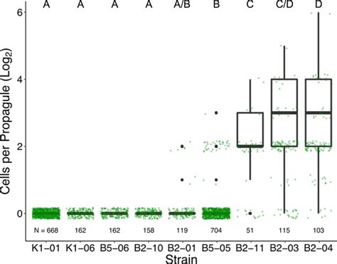 Sizes of propagules released by evolved strains during a 72-hour ...