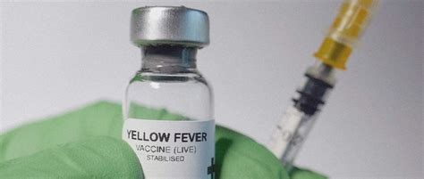 What are the risks of getting the yellow fever vaccine? | Patient