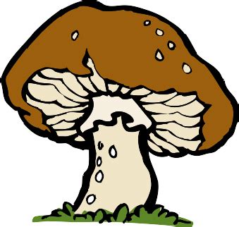 Fungi Clipart - ClipArt Best