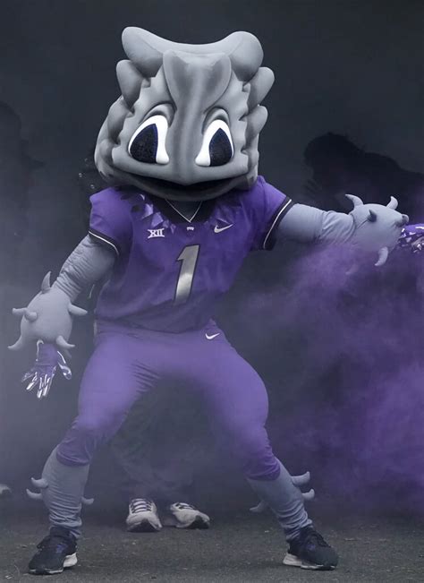 All Glory to the Hypnotoad, TCU’s Meme Mascot - The New York Times