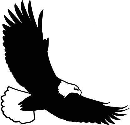 Bald eagle flying clipart clipartfest – Clipartix