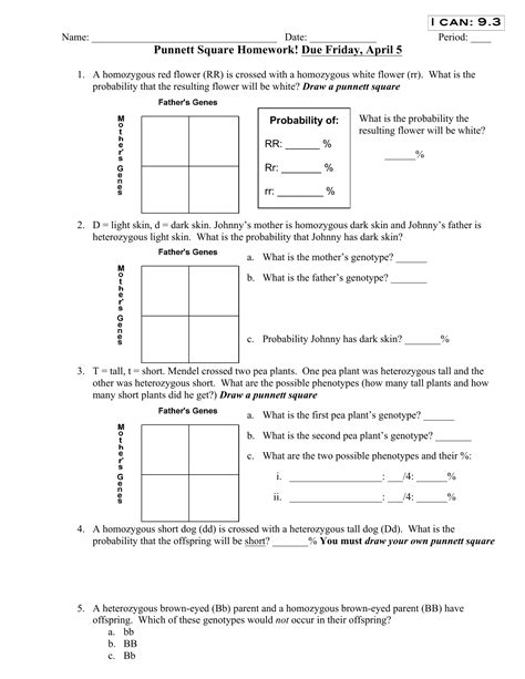 Punnett Square Practice Worksheet