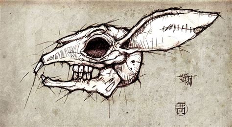 Animal skull drawing, Rabbit drawing, Skull drawing