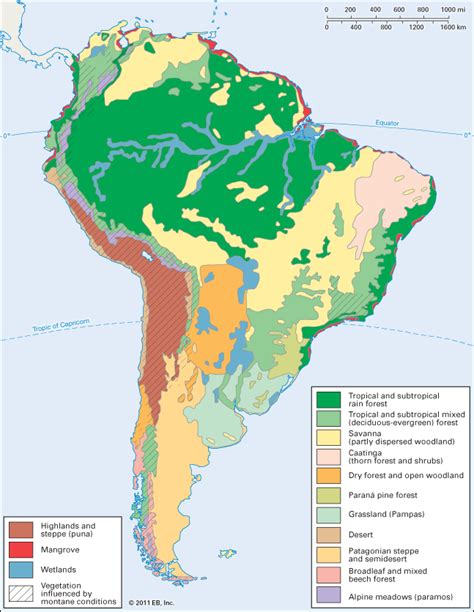 South America: vegetation zones - Students | Britannica Kids | Homework ...