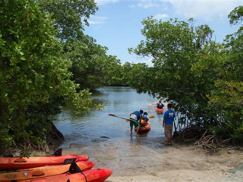 Kayaking Oleta River State Park Miami Florida USA