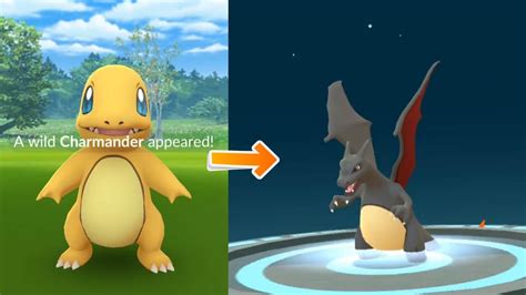 Shiny Charmander Evolves Into Black Charizard + Two Shiny in a Row ...