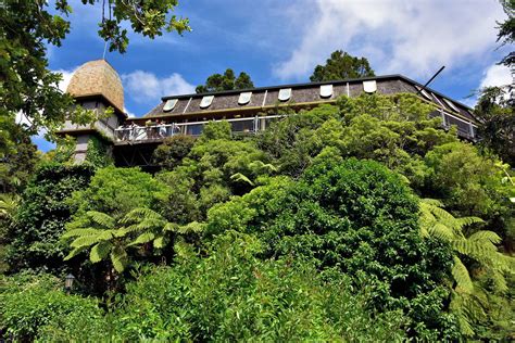 Treehouse at Botanic Garden in Wellington, New Zealand - Encircle Photos