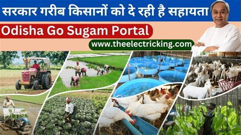 ओडिशा गो सुगम पोर्टल 2023-24 | Odisha Go Sugam Portal | Beneficiary ...