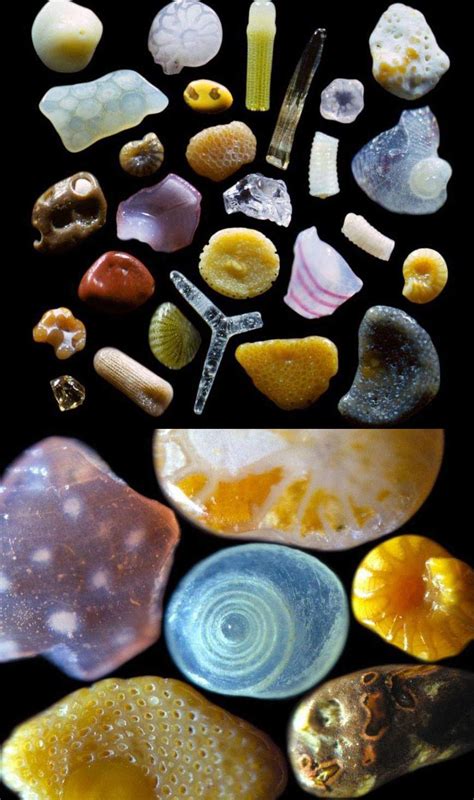 Sand magnified up to 300 times : r/interestingasfuck