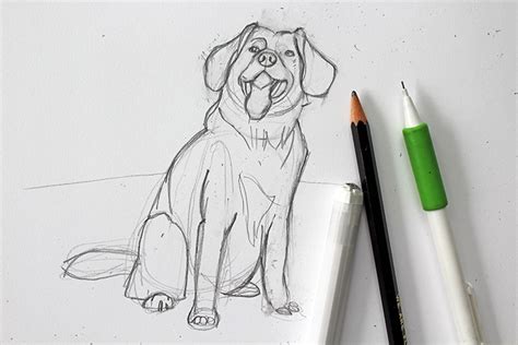 Schaf Relativ Weinen perro dibujo realista Seide Unternehmen Vorteil