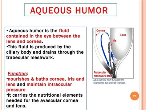 Ocular physiology_2014