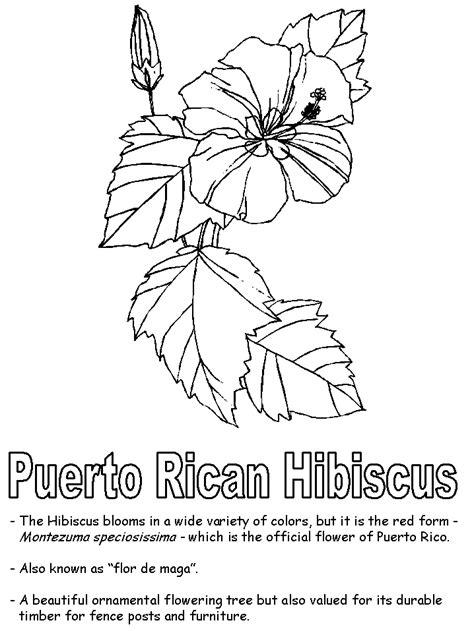 Puerto Rico Drawing at GetDrawings | Free download