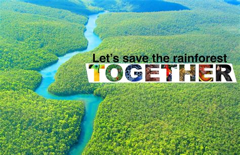 Let's Save The Rainforest Together | Worlds of fun, Rainforest, Amazon ...