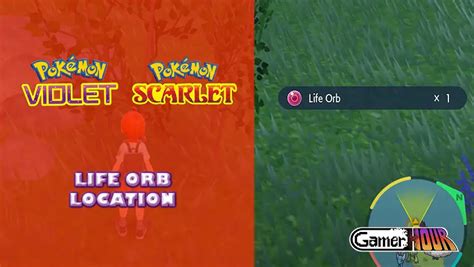 Pokemon Scarlet & Violet: Life Orb Location - GamerHour