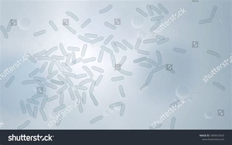 1,507 Lactobacillus microscope Images, Stock Photos & Vectors ...