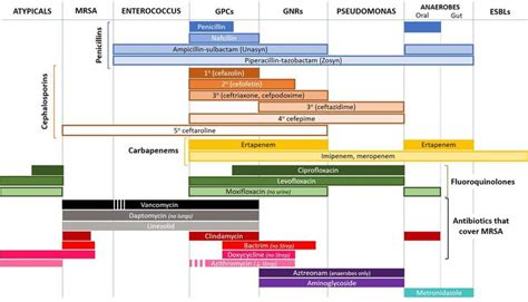 Image result for antibiotic spectrum chart | Antibiotic, Chart, Flow sheet