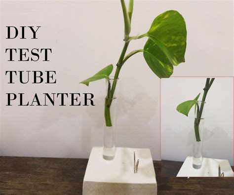 Diy Test Tube Planter : 5 Steps - Instructables