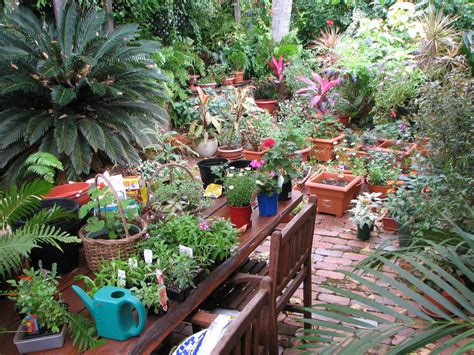 My Dry Tropics Garden: My Place Part 2: The Courtyard Garden - my ...