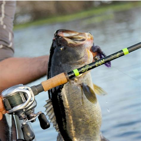 What Rods To Use For Bass Fishing - Fishing Blueprint