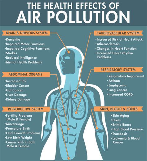 Air Pollution Effects On Respiratory System