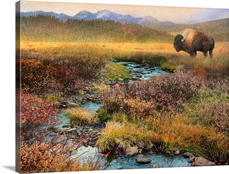 Bison Wall Art, Canvas Prints, Framed Prints, Wall Peels | Great Big Canvas