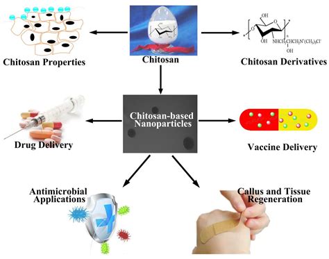 Polymers | Free Full-Text | Biomedical Applications of Chitosan and Its ...