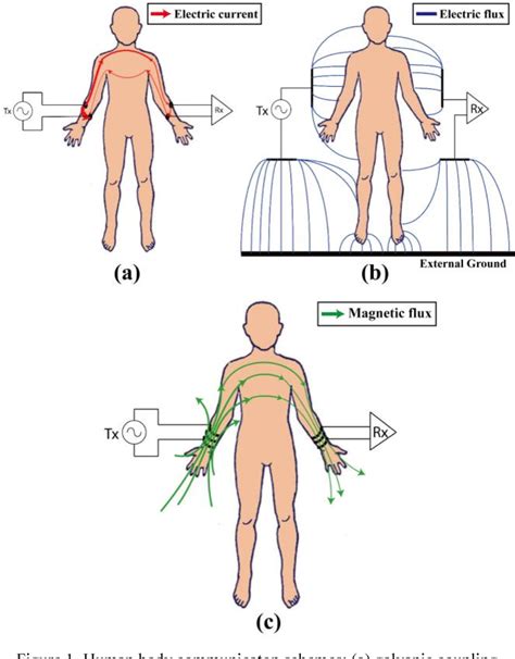 Figure 5 from Magnetic human body communication | Semantic Scholar