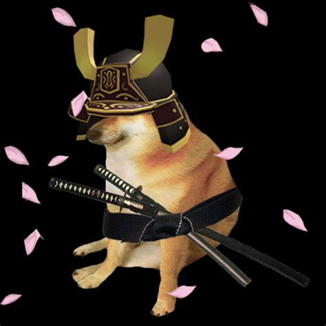 73 Wallpaper Meme Anjing Samurai Images - MyWeb